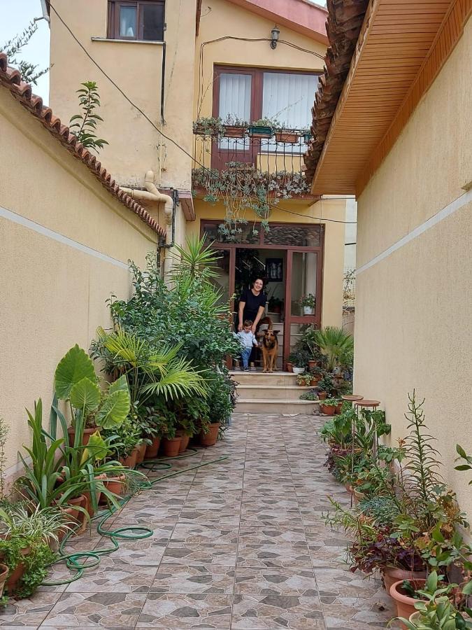 Vila Kodra ティラナ エクステリア 写真